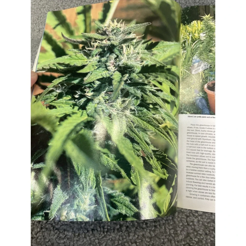 High Times Pauly Shore Summer‎ Planting Guide July 2003 Magazine